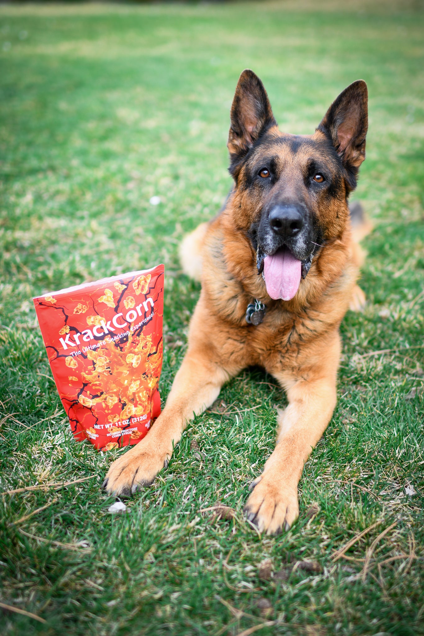 9 Bag ULTIMATE VARIETY Pack + FREE Shipping!